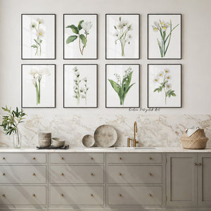 Botanical Wall Art Set of 8 Prints – White Flower Watercolor Gallery Wall, Neutral Farmhouse Floral Decor