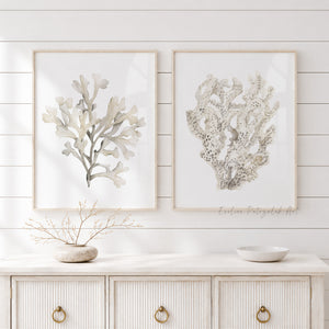 Beige Korallen Bilder 2er Set – Aquarell Wandbilder im Coastal Stil