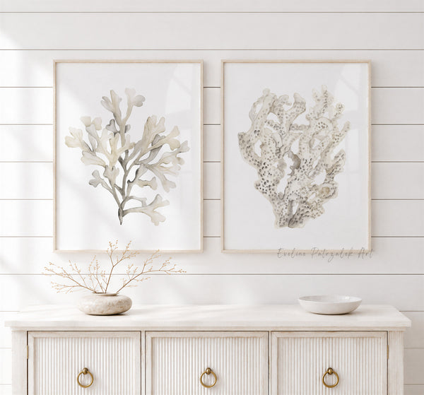 Two framed botanical art prints depicting coral or sea plant illustrations in soft neutral tones, displayed side-by-side on a white shiplap wall above a white console cabinet with gold ring pulls.
