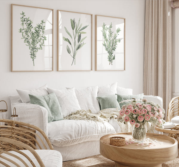 Three framed watercolor paintings showcase delicate depictions of Provencal herbs, including sage, rosemary, and thyme, in soft muted green tones, creating a calming and elegant atmosphere above a white sofa with cushions and a coffee table in a living room.