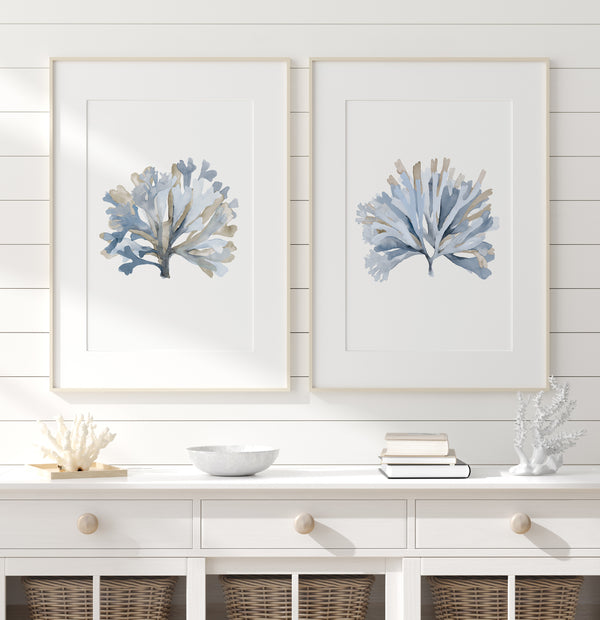 Set of 2 minimalist coastal blue algae wall art for modern interiors